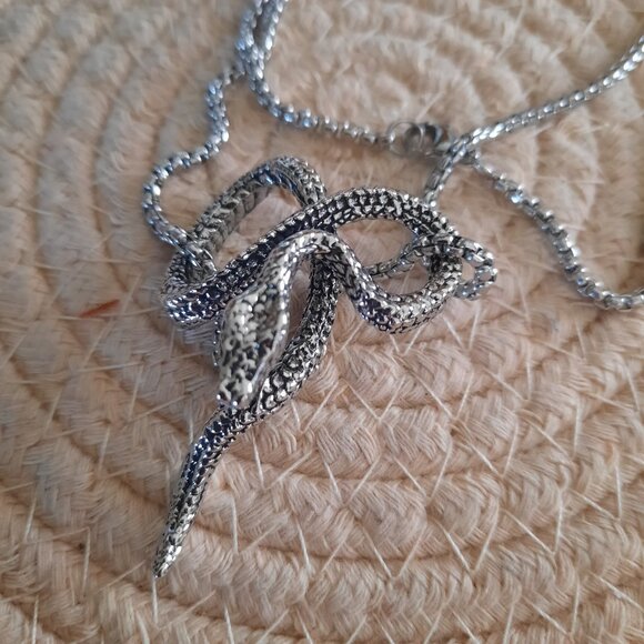 Snake Pendant Gothic Pendant Necklace - Stainless Steel, NEW! - Picture 5 of 14